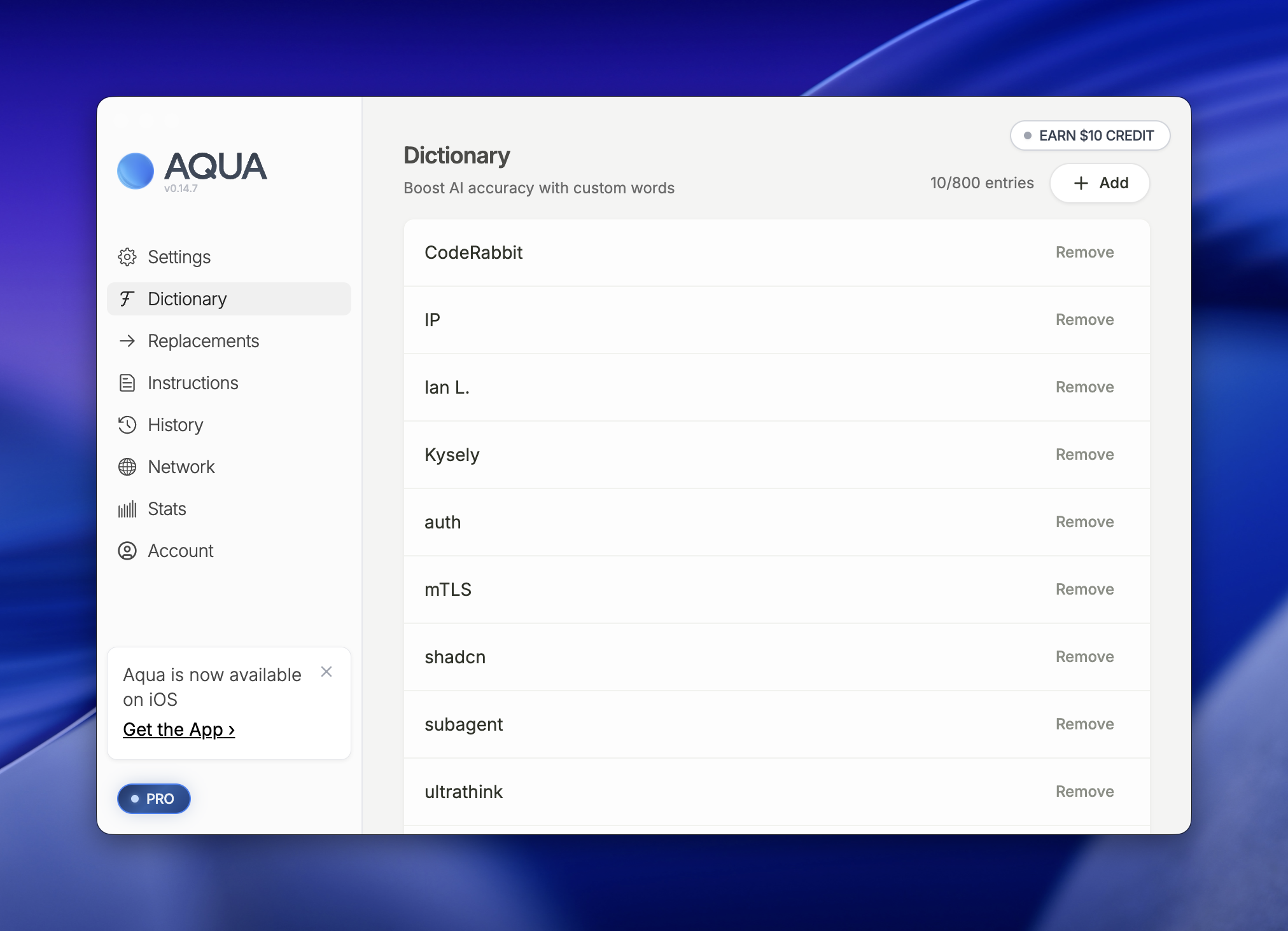 AQUA app interface showing Dictionary feature with custom word entries like CodeRabbit, IP, and auth listed with remove options
